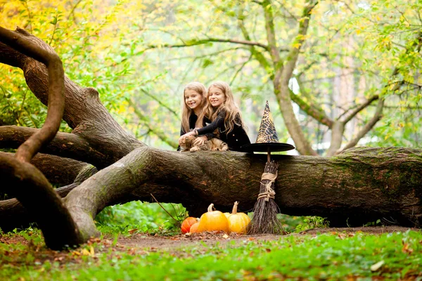 Dos Chicas Vestidas Como Brujas Parque — Foto de Stock