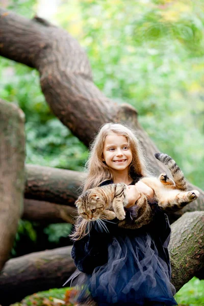 Uma Menina Bonita Vestida Como Uma Bruxa Detém Gato Gengibre — Fotografia de Stock