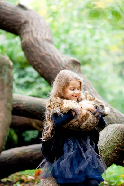 一个打扮成巫婆的可爱女孩抱着一只生姜猫 — 图库照片