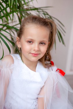 Kabarık elbiseli ve diyademli kız.