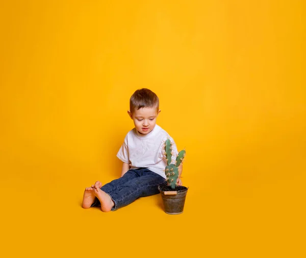 Pequena Criança Jeans Uma Camiseta Branca Fundo Amarelo — Fotografia de Stock