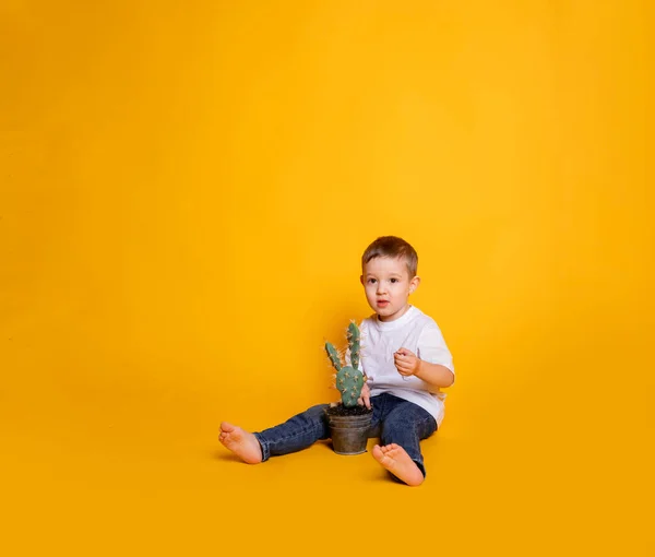 Pequena Criança Jeans Uma Camiseta Branca Fundo Amarelo — Fotografia de Stock