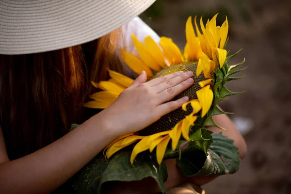 Дівчина Торкається Пальців Суцвіття Соняшнику — стокове фото