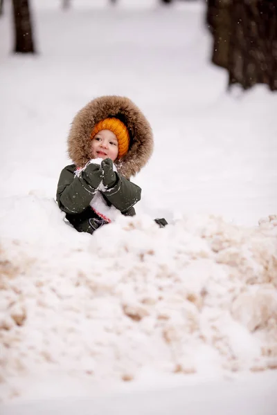 Malý Chlapec Teplé Zimní Kombinéze Zimě Parku — Stock fotografie