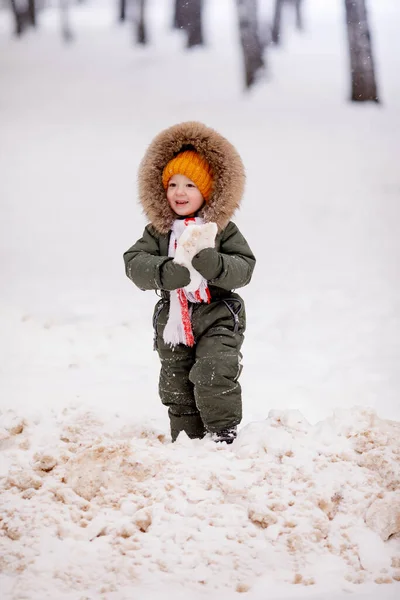 Kleiner Junge Warmen Winteroveralls Winter Einem Park — Stockfoto
