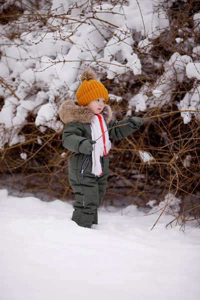 Kleiner Junge Warmen Winteroveralls Winter Einem Park — Stockfoto