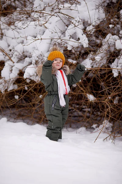 Kleiner Junge Warmen Winteroveralls Winter Einem Park — Stockfoto