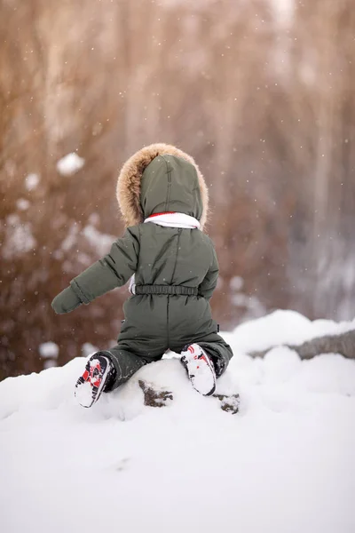 Kleiner Junge Warmen Winteroveralls Winter Einem Park — Stockfoto