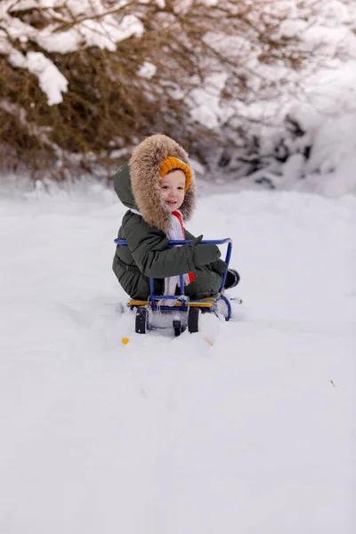 Petit Garçon Salopette Hiver Chaude Hiver Dans Parc — Photo