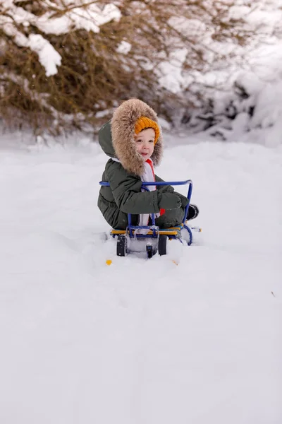 Kleiner Junge Warmen Winteroveralls Winter Einem Park — Stockfoto