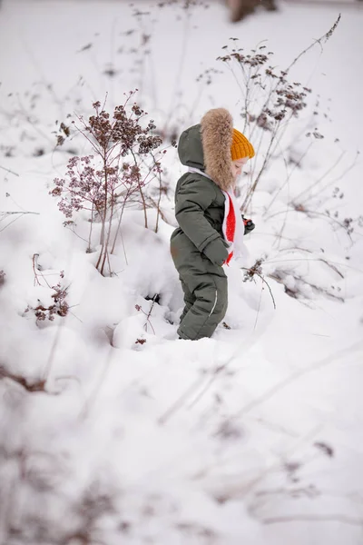 Kleiner Junge Warmen Winteroveralls Winter Einem Park — Stockfoto