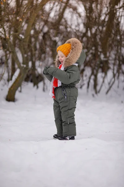 Petit Garçon Salopette Hiver Chaude Hiver Dans Parc — Photo