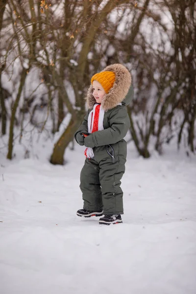 Маленький Хлопчик Теплий Зимовий Комбінезон Взимку Парку — стокове фото