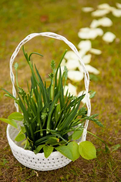 Basket with grass — Stock Photo, Image