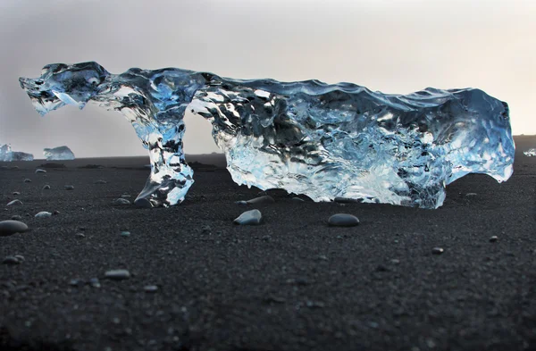 Lód na brzegu plaży z czarnym piaskiem. Islandia. — Zdjęcie stockowe