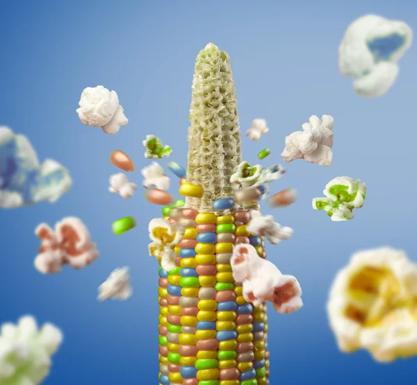 Color corncob explodes and produces popcorn — Stock Photo, Image