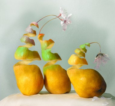 Acaba hangilerinde çıkış