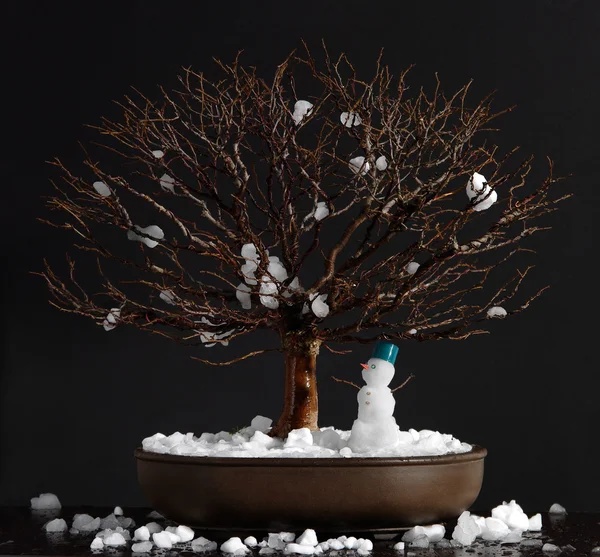 Elm bonsai tree with snowman — Stock Photo, Image