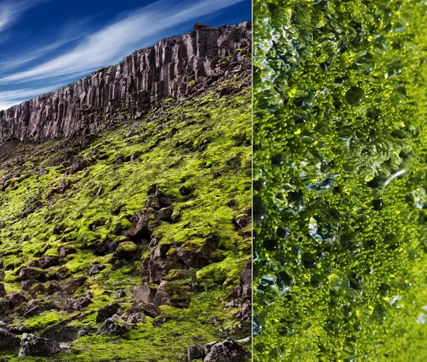 Strukturera av markytan. — Stockfoto