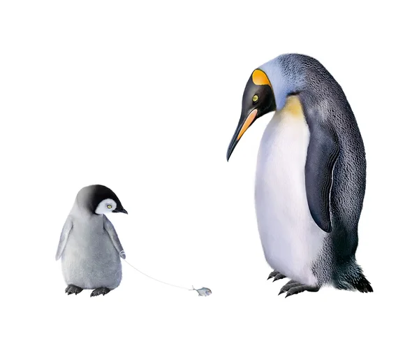 Familjen pingviner — Stockfoto