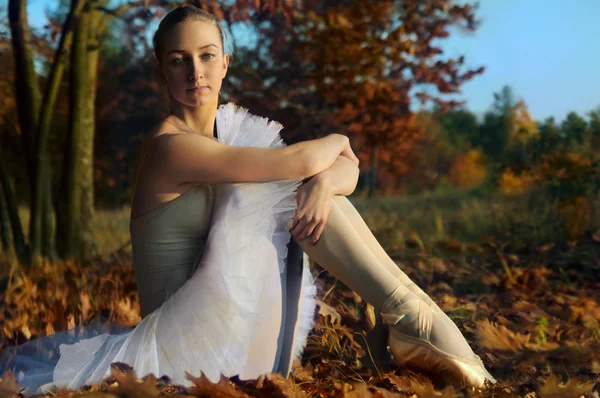 Bailarina contra madera de otoño — Foto de Stock