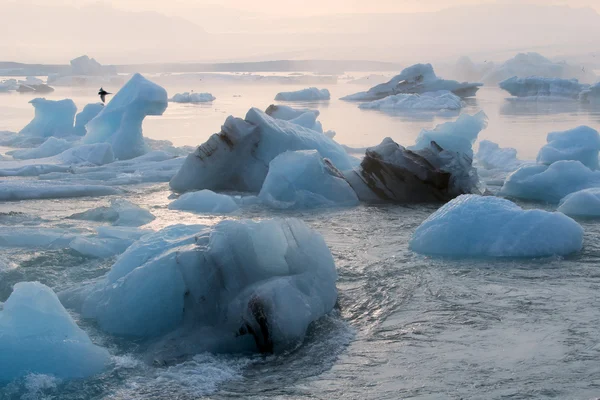 Iceberg dans la lagune du glacier — Photo