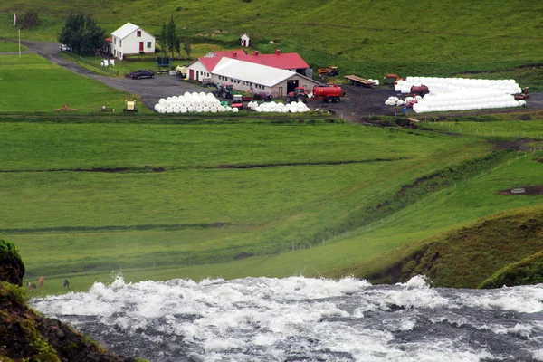Farma v zeleném údolí na Islandu — Stock fotografie