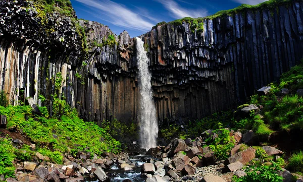 Svartifoss. Чорний водоспад . Ліцензійні Стокові Зображення