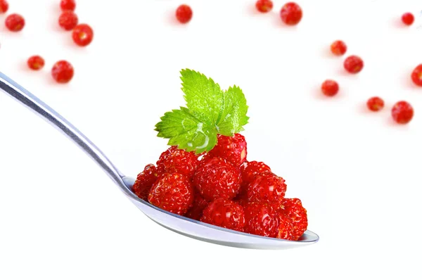 Wild strawberry — Stock Photo, Image