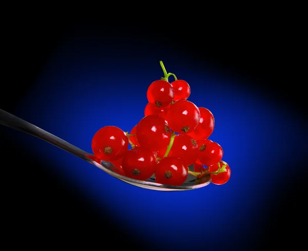 Currants red — Zdjęcie stockowe