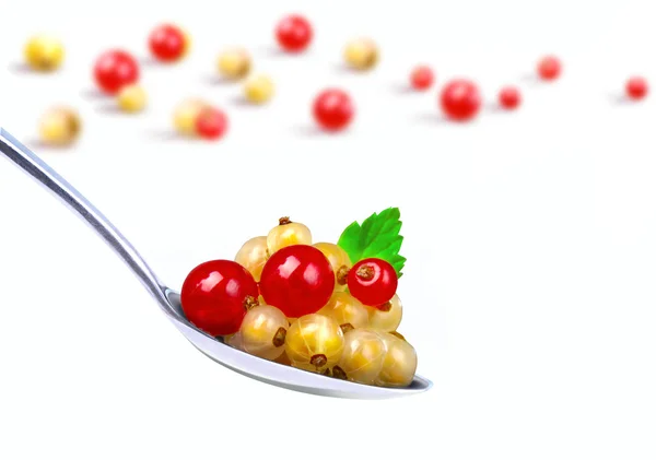 Red and yellow currants — Stock Photo, Image