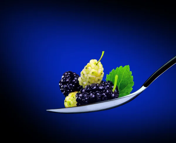 Blue and white mulberry — Stock Photo, Image