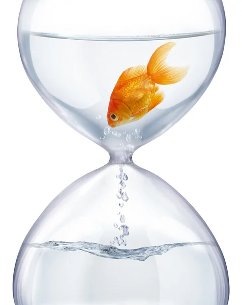 Aquarium hourglass. — Stock Photo, Image