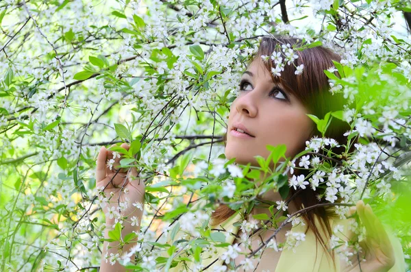 Mulher em flores de uma cereja — Fotografia de Stock