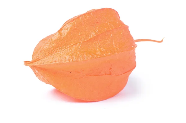 Friss narancs physalis — Stock Fotó