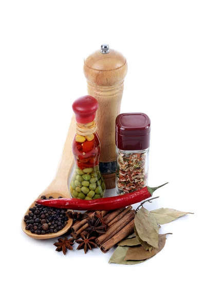 Set of various spices — Stock Photo, Image