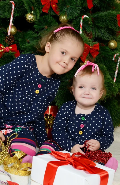 Chicas sentadas cerca de árbol de pieles de Navidad — Foto de Stock