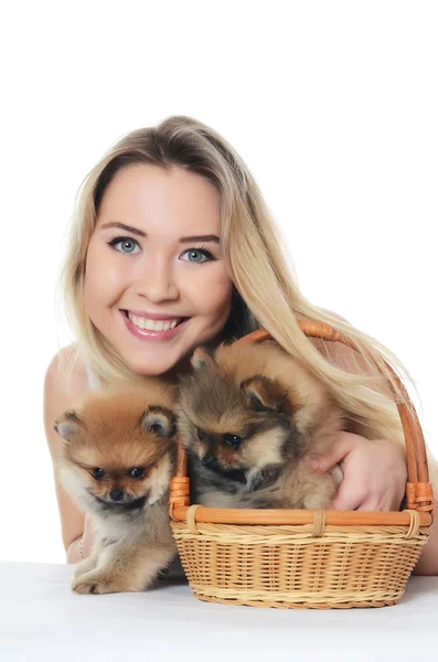 Blonde woman with puppies spitz — Stock Photo, Image