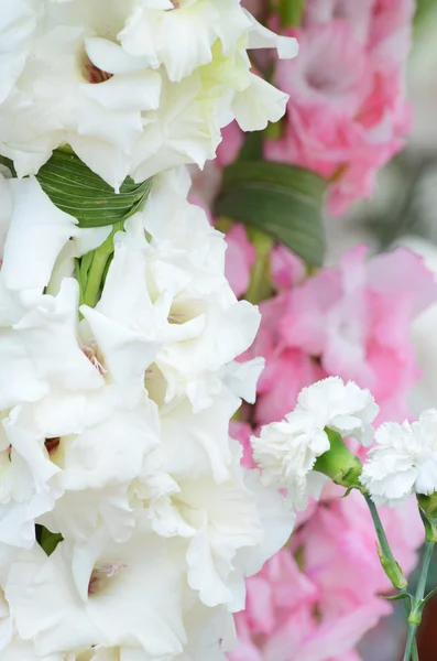 Beautiful bouquet of white gladioluses — Stock Photo, Image