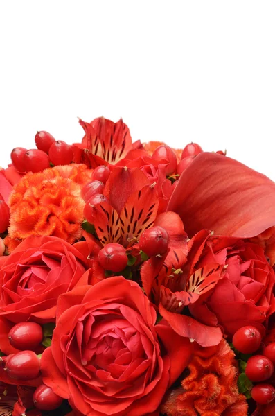 赤い花の花束 — ストック写真