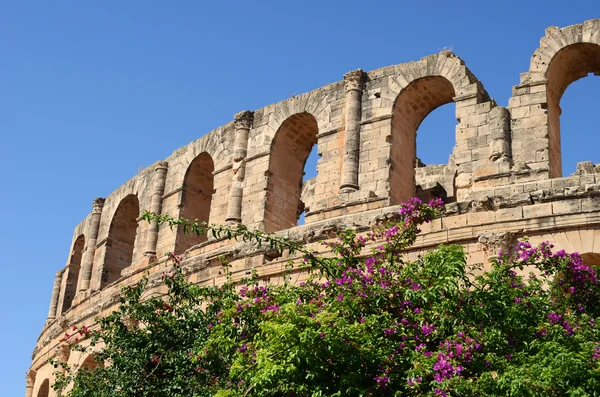 Antika amfiteater i Tunisien — Stockfoto