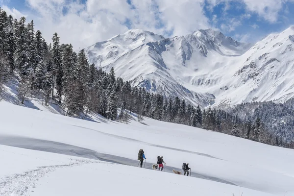 Trois touristes font de la randonnée dans les montagnes hivernales avec leurs chiens — Photo