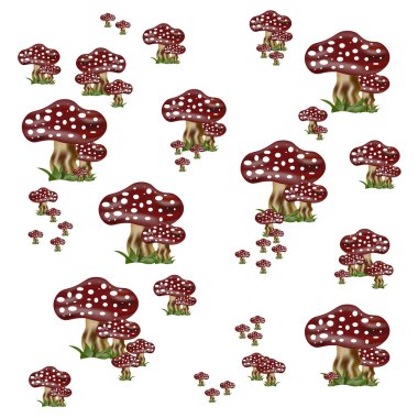 Mantar kırmızı ve beyaz 