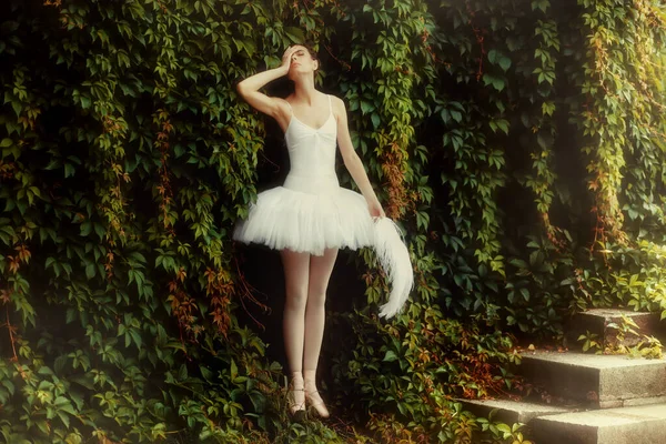 Femme Ballerine Dans Une Robe Blanche Est Debout Dans Une — Photo