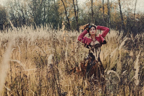 Mooie Vrouw Een Historische Jurk Poseert Een Veld Met Hoog — Stockfoto