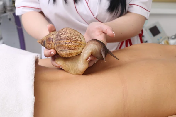 Getting snail skin cleaning at beauty salon. — Stock Photo, Image