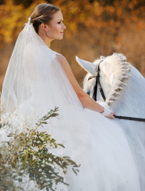 Düğün. Gelin ve beyaz at