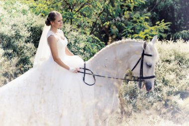 Düğün. Gelin ve beyaz at