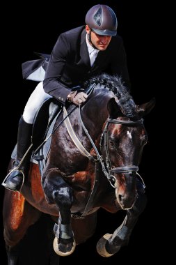 Binicilik: binici gösterisi, siyah arka plan üzerine izole atlama içinde defne atı ile