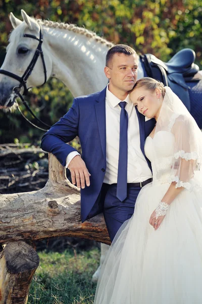 Bruiloft. Bruid en bruidegom met wit paard — Stockfoto